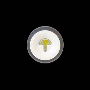 Step Lights: LED Step light White 4000k 8629T