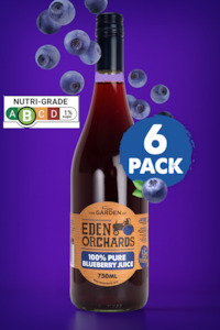 Pure Blueberry Juice (SG)