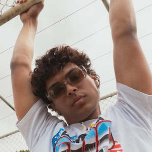 Oddity Sunglasses-Crystal Grey Brown