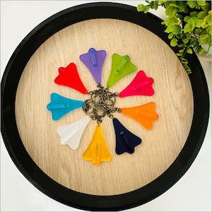 Keychains: Jet Plane Keychains