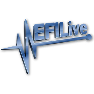 Products: EFILive - FlashScan V1 PCM License