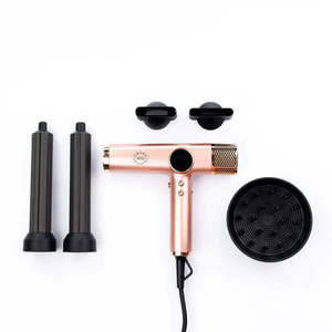 Hair2day: HAIR2DAY H2D Xtreme 4 in 1 Hair Dryer + Styler - Rose Gold