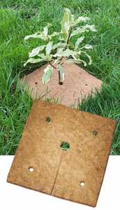 Products: Natural - Egmont Commercial