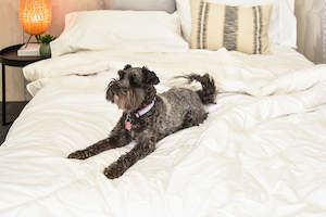 Favourites: Wool 500gsm Winter Weight Machine Washable Duvet - US Sizes