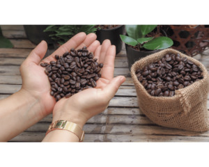 Signature Blend - Eighth Continent Coffee