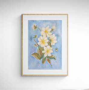 Botanical Prints: Posy Art Print