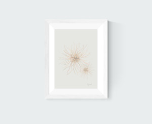 Botanical Prints: Beach Spinifex