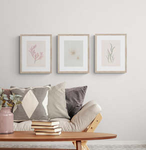 Botanical Prints: NZ Seaweed & Spinifex 3 Print Set