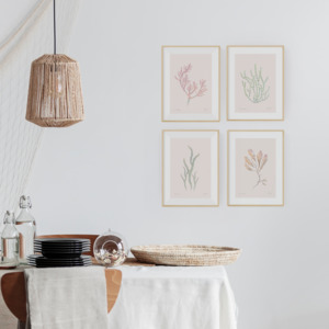 Botanical Prints: NZ Native Seaweed 4 print set
