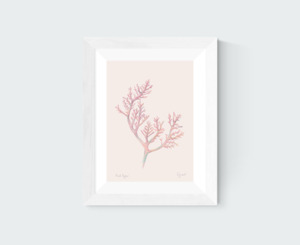 Red Agar Art Print