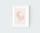 Red Agar Art Print