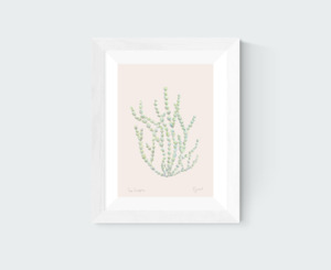 New Zealand Fine Art Prints: Sea Grapes Art Print