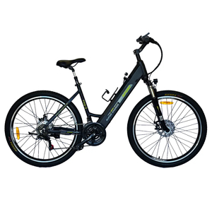 Super Charge Sport 27.5 Inch – Black & Green – Low Bar - EcoQuip Electri&hellip;