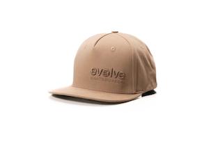 Evolve Capacitor Hat