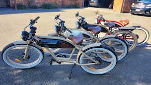 E Bike: Michael Blast Maverick