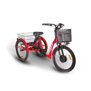 E Bike: Wattwheels Trike City