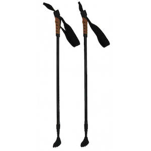 Walking Sticks: Nordic Walking Stick (pr)