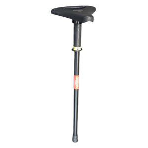 Folding Seat Cane
