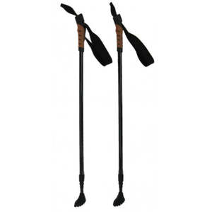 Nordic Walking Stick (pr)
