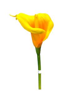 Sunny Calla Lily Stem