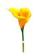 Sunny Calla Lily Stem