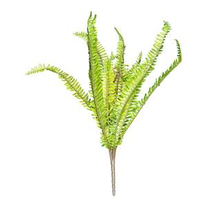 Artificial Flowers: Boston Fern Stem