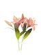 Enchanted Lilies