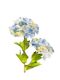 Azure Hydrangea Stem