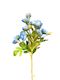 Blueberry Bell Stem