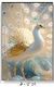 White Peacock Wall Art