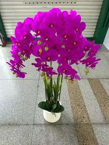 Orchids with White Square Vases