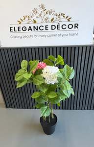 Hydrangea Pink and White