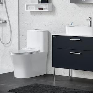 American Standard: AMERICAN STANDARD SIGNATURE HYGIENE RIM TOILET SUITE