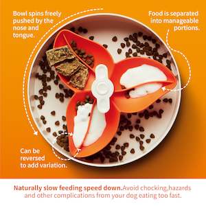 SPIN Bougainvillea Interactive Feeder