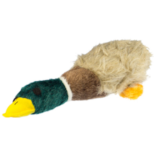 Toys: Playtime Quacker