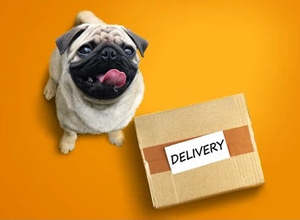 Raw Food: Raw Dog Food Local Delivery - Christchurch