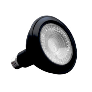 Products: 15W LED Globe Black PAR38 - Elite Energy Solutions