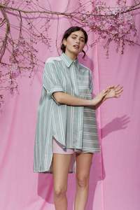 Shirt Dress in Mint