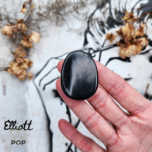 Shungite Palm / Worry / Thumb Stone