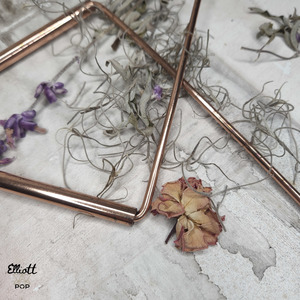 Paranormal Investigation • Elliott Pop Crystals, Tarot + Oracle and Spiritual Delights