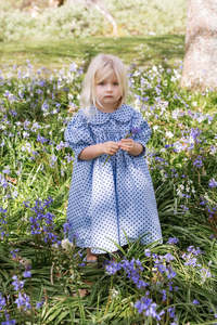 Dresses 1: Birdie Dress - Periwinkle Dot