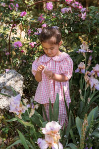 Rudy Blouse - Posy Check