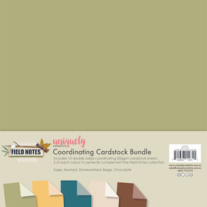 Paper Pads Packs Uniquely Creative: Uniquely Creative - Field Notes - 12x12 Coordinating Cardstock Bundle (10pk)