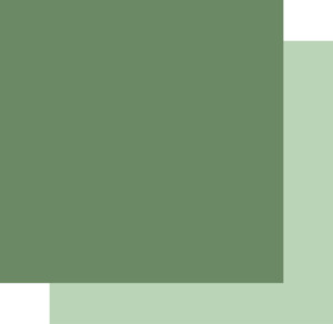 Uniquely Creative - 12x12 Cardstock 250gsm - Pine