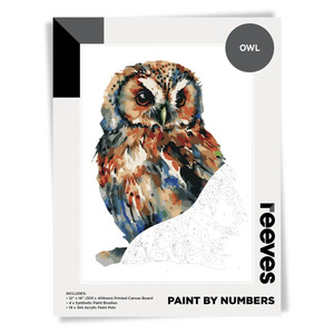 Reeves: Reeves - Paint by Number - Owl - 12"x16"