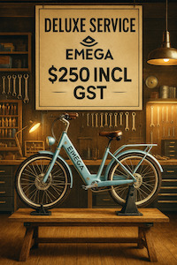 Full Service $250 Incl GST