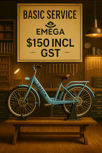 Basic Service $150 Incl GST