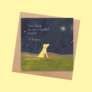 RTD16 Kindred Spirits (6 packs)