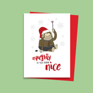 SCDSFA4194 Naughty is the new Nice (6 pack)