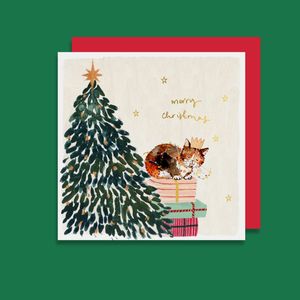 Christmas: LMDXM81 Cat on presents (6 pack)